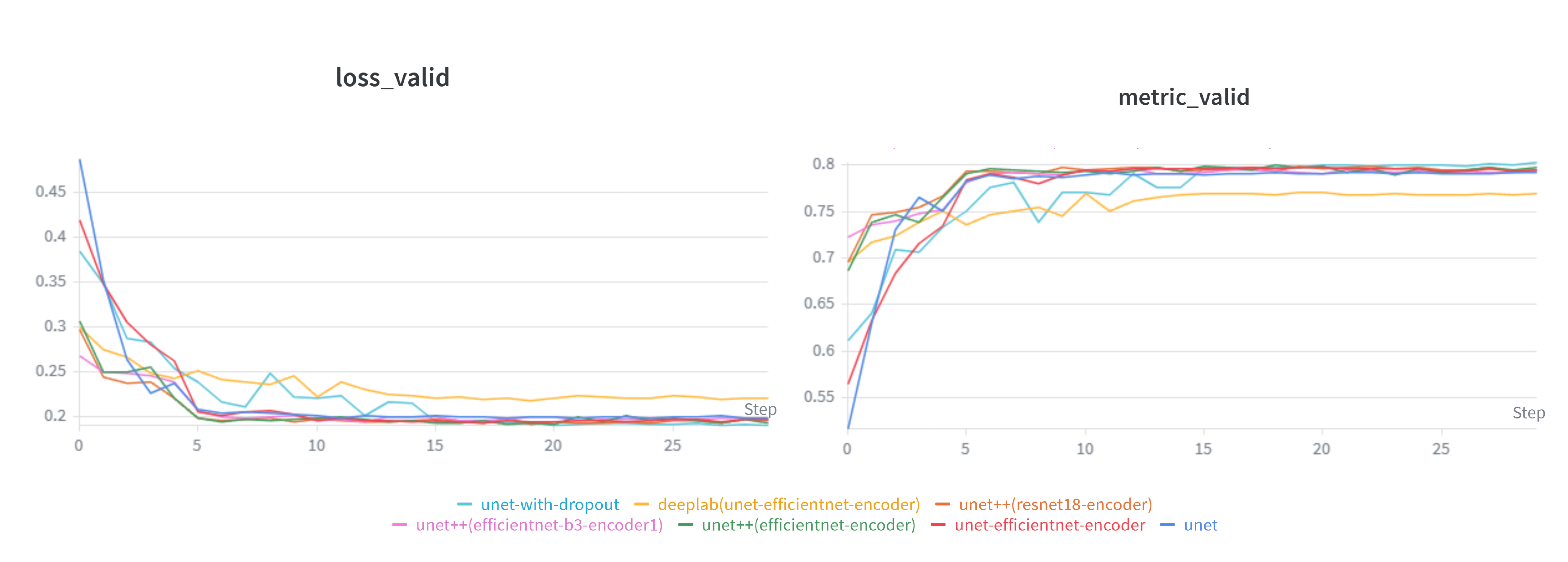 Segmentation Result