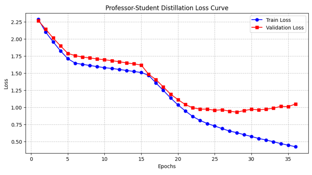 Professor-Student Distillation Convergence Curve