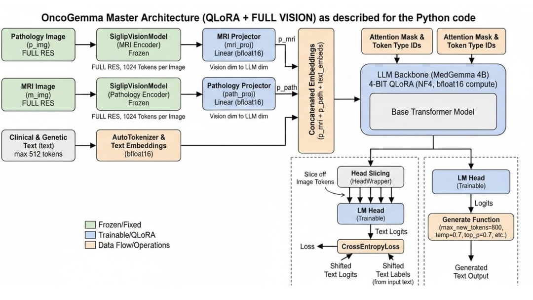 OncoGemma Master Architecture Topology